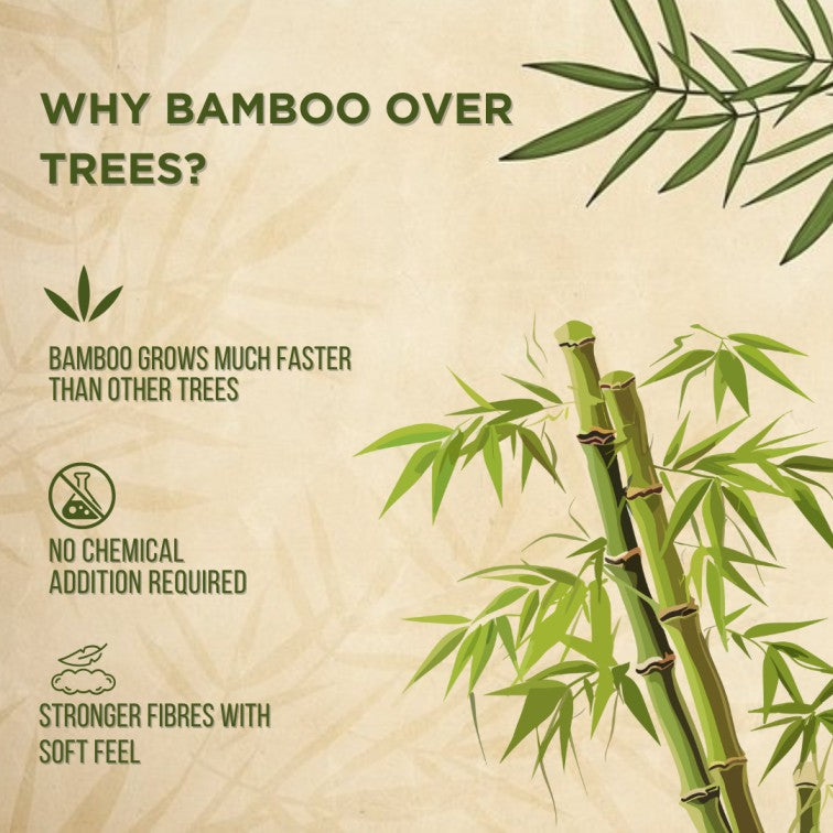 Tabbsz toilet paper, Bamboo toilet roll, sustainable toilet paper, Bamboo toilet paper, Non toxic toilet paper, biodegradable toilet paper, eco friendly toilet paper, shipped globally, India's first cleaning tablet, afforadable bamboo toilet roll, best quality bamboo toilet paper, cheap bamboo toilet paper, cheap toilet paper, zero waste toilet paper, no waste toilet roll, soft bamboo toilet paper, natural toilet paper, skin friendly toilet paper, hypoallergenic toilet paper